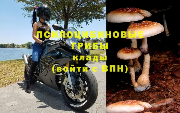 молекула духа Семилуки