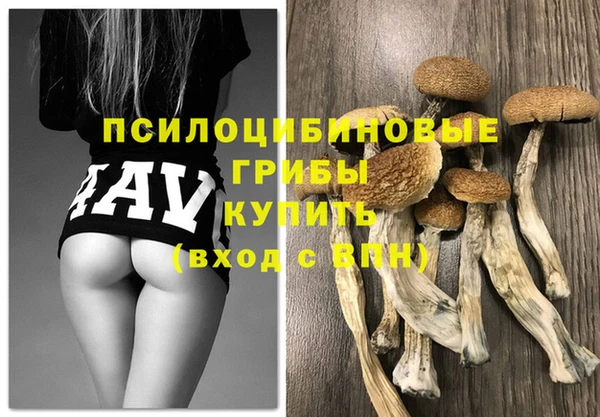 МДПВ Абинск