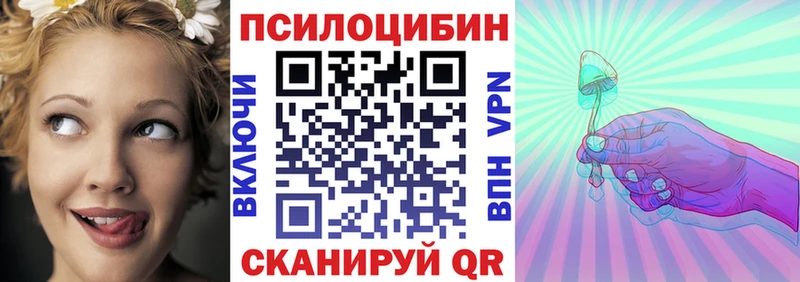 кракен ТОР  как найти закладки  Кедровый  Псилоцибиновые грибы прущие грибы 